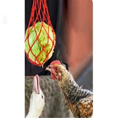 닭 야채 배급 망 먹이급여기 먹이통