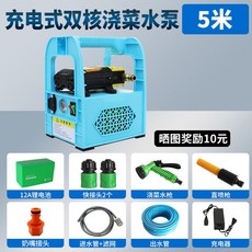 便攜手提充電式雙核水泵 澆菜神器, 1個, 基礎續航12雙泵5米管2種噴頭