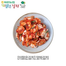 화원농협 이맑은 양파김치 3kg