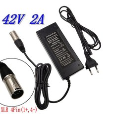 4핀 XLR 소켓/커넥터가 배터리 자전거 전기 42V 충전기 있는 36V 2A 팩용 리튬, 유럽 ​​연합