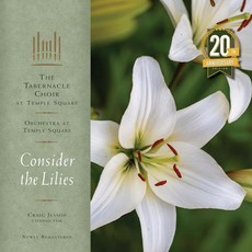 (LP) Consider the Lilies 20th Anniversary Remastered Edition