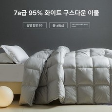 거위털 호텔 구스이불 폴란드 한파용 침구 사계절용 이불 구스다운, 체크무늬 그레이