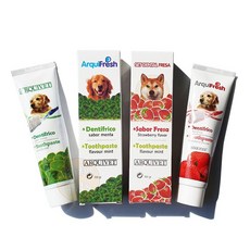 艾爾發寵物 西班牙 ARQUIVET arquifresh 牙刷牙膏組 寵物專用 溫和清潔 狗牙刷 狗牙膏 口腔護理, 1個, 薄荷牙刷+牙膏組