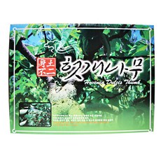 시골맛 아빠들의 아침 건강을 위하여! 헛개즙 50개, 50팩, 120ml