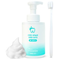 덴포밍 500ml + 교정기 유지장치 세척솔, 1개