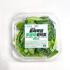 그린어스 무농약 친환경 유러피안 프리미엄 루꼴라 샐러드 간편 트레이, 100g, 5개