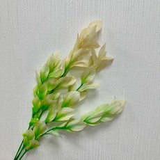 花藝夢*不凋玉竹葉 整把販售 單色 漸變玉竹葉 永生花 乾燥花 不凋花 現貨, 漸變綠