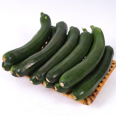 주키니호박 호박 애호박 돼지호박 못난이호박 10KG 쥬키니, 10KG (박스), 1개