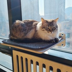 吸附式窗附窗貓窗貓塔窗架浪漫觀貓器CWS01, 1個, 灰色的