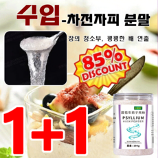 [99%고객의선택] 짱청소 차전자피 분말 고운 차전자피 분말 식사대용 단백질쉐이크 식이섬유 분말, 100g*4, 100g
