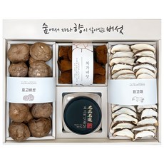 올어바웃머쉬룸 차가담은 표고 혼합세트, 1세트