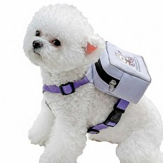 애견백팩 소형견 토끼 배낭 하네스 가슴줄 산책 외출용품 똑템, 1개