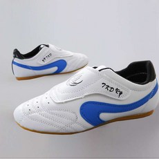 점핑화 태극권화 무도인무술화 태권화 우슈화