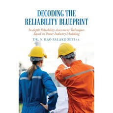 (英文圖書)Decoding The Reliability Blueprint: In-depth Reliability Assessment Techniques B... 平裝版, Palmetto Publishing, 英文