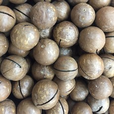 帶殼薄鹽烘焙夏威夷果 澳洲產 600g, 1個, <帶殼>夏威夷果