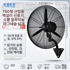 벽걸이 대형선풍기 산업용 공업용 업소용 저소음, FS-75 B, 기본 색상