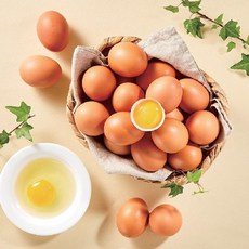 에그트리 오늘 낳은 생계란 특란, 1개, 30구