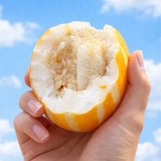 [최저가도전] 꿀당도 시원아삭 성주 참외, 1박스, 5kg