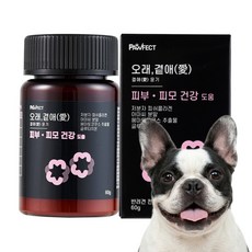 [오래곁애] 의사 연구 강아지 발사탕 가려움 피부 피모 데일리 케어 영양제