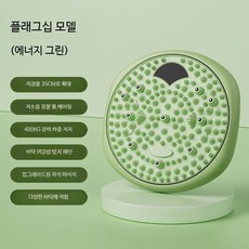 지압 발마사지 스트레칭 홈트기구 회전운동 운동기구 허리, 1개, 그린 플래그십