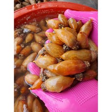 레브 당일조업 남해안 생물 제철 미더덕, 1개, 미더덕 원물 500g