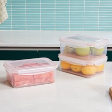 [모던하우스 광주역점] 깍뚝수박 소분보관용기 2L 3P세트 KC0423010, 1개