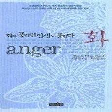 [개똥이네][중고-상] 화 anger