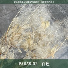 黃櫨煙霧樹夢幻草永生花材：浪漫霧中情人乾燥花藝裝飾小份原裝, 02白,原裝