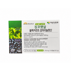 징코햇살 150캡슐 감마리놀렌산 은행잎 블랙커런트 병풀 코엔자임큐텐 레시틴 함유 순환제 콜레스테롤 햇살이네마을 대용량신제품