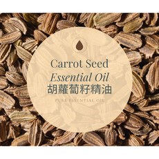 MW精油工坊 胡蘿蔔籽精油, 1個, 10ml
