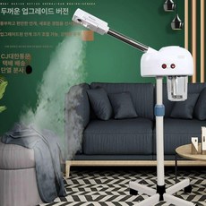 스팀 마사지기 안면 미용실 가정용 미스트기 에스테틱, 약팩 미포함, 기본 모델명/품번