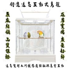悠悠寵物 透亮易潔互動式觀景鳥籠 附防撥杯 站棍 金頭凱克 鸚鵡 口袋鸚鵡適用, 1個
