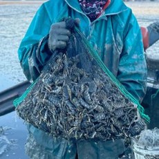 (청해찬) 국산 순천만 생물 칠게, 1개, 1kg