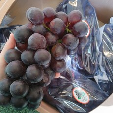 국산흑포도 검정포도 씨없는포도 BK시들리스, 1박스, 2kg