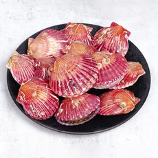 통영 제철 홍가리비 당일조업, 1박스, 5kg (100-125미 내외)