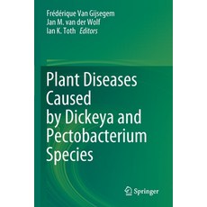 (영문도서) Plant Diseases Caused by Dickeya and Pectobacterium Species Paperback, Springer, English, 9783030614614