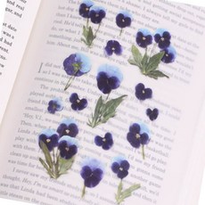 압화스티커 팬지 다이어리꾸미기 답례품 데코용품 ksg+2217uI