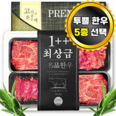 [투뿔 최고급 한우 선물용] 1++ 한우선물세트 구이용 국내산 명품 소고기 모듬, 1세트, 1호 투뿔 한우 [600g]