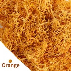 인공 이끼 식물 잔디 조경, 오렌지, 100gram