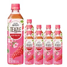 웅진 티즐 제로 블랜딩티 오미자 히비스커스, 10개, 500ml