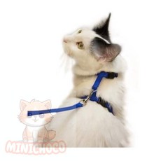 미니초코 고양이목줄산책줄 고양이 애견 산책 하네스+리드줄 로얄블루