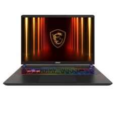 MSI 2025 벡터 16 HX 코어Ultra9 지포스 RTX 5080, 코스모스 그레이, 1TB, 16GB, Free DOS, VECTOR 16 HX AI A2XWIG-U9 QHD+