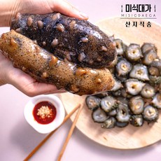 거제 자연산 생물 활 해삼, 1개, 500g