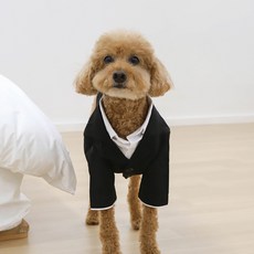 강아지 노블 프렌치 정장 턱시도, 1개, 블랙