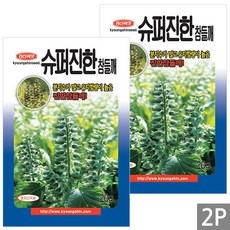 세인화분 국산 슈퍼 진한 참들깨 20g - 들깨 깨 씨 씨앗, 2개