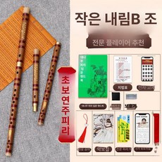 대금 산조 입문용 정악 휴대용 대나무 플루트 피리 전통 악기, 1개, 소형 B 디럭스 액세서리 포함