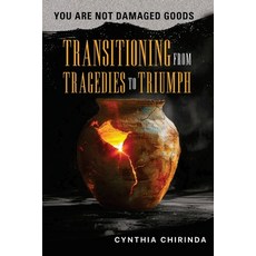 (영문도서) You are not Damaged Goods: Transitioning from Tragedies to Triumph Paperback, Wholeness Incorporated Publ..., English, 9781779298645