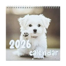 두꺼운 코팅지 시트로 만든 2026년 아트 월 캘린더 다채로운 색상 읽기 쉬운 날짜 창의적인 일러스트 캘린더, 1세트, 그림과 같이