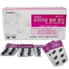 유한메디카 프리미엄 철분 엽산 8개월분 120정, 1개