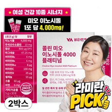비타민마을 콜린 미오 이노시톨 4000 플래티넘 분말 30p, 150g, 2개